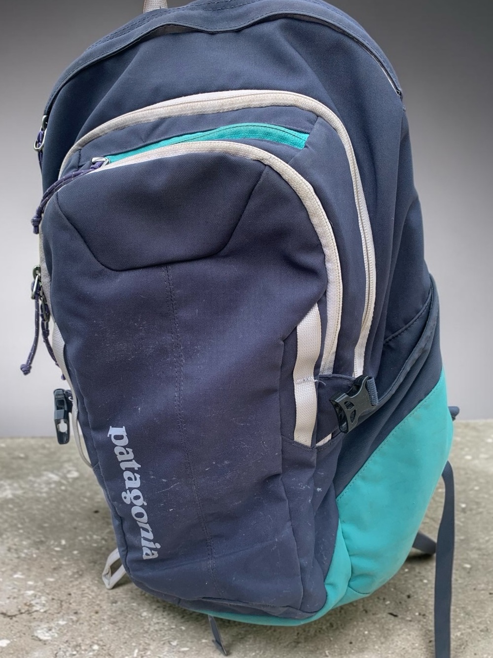 Patagonia Navy and Teal Men's Backpack Refugio 28L